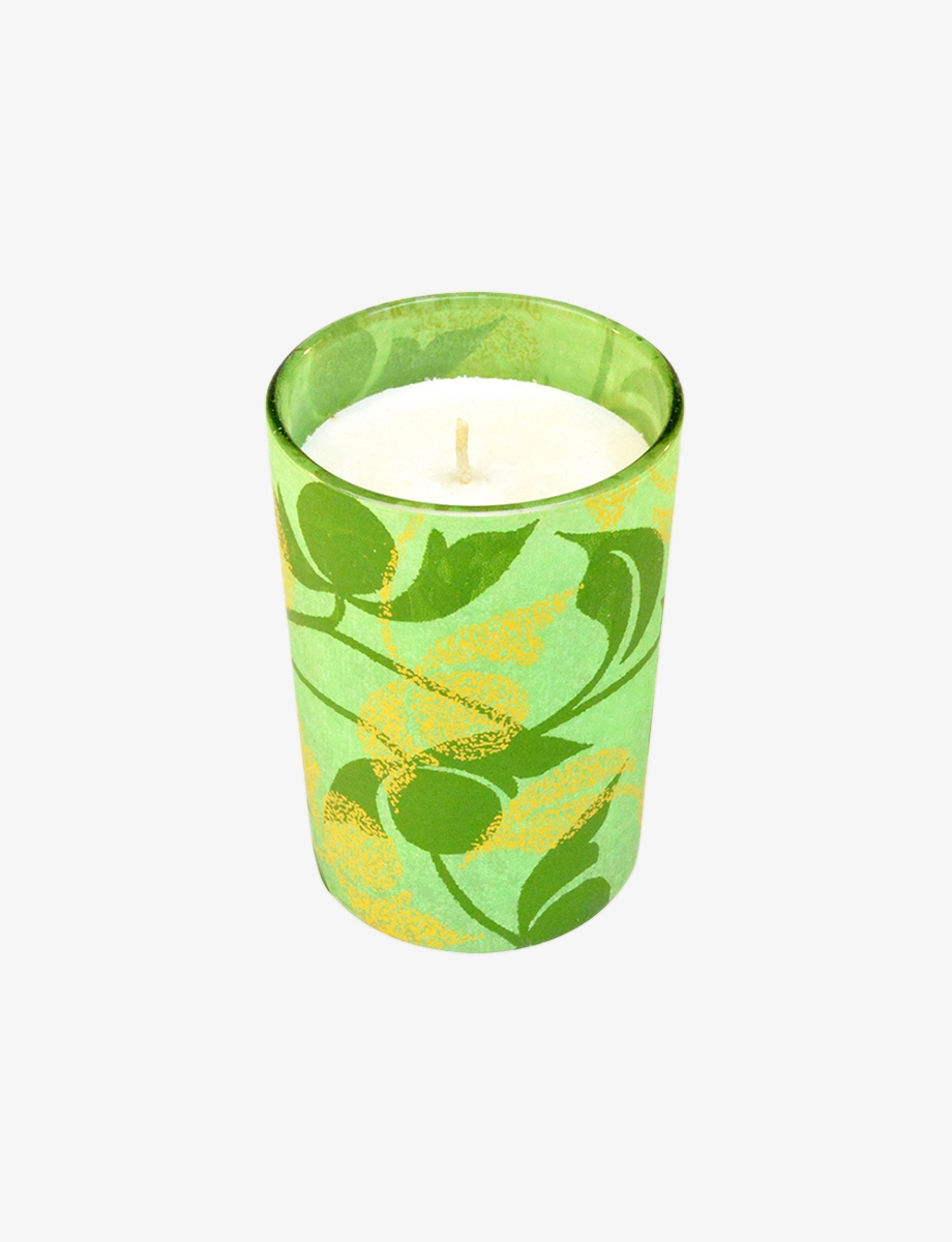 Green Light – Malaysian Orchid – 95gms - Maroma